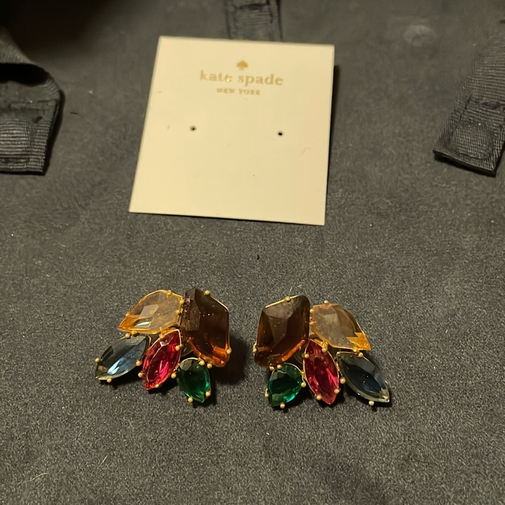Kate spade stone earrings
